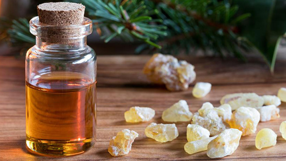 The ancient cure for modern human - Frankincense oil and its benefits