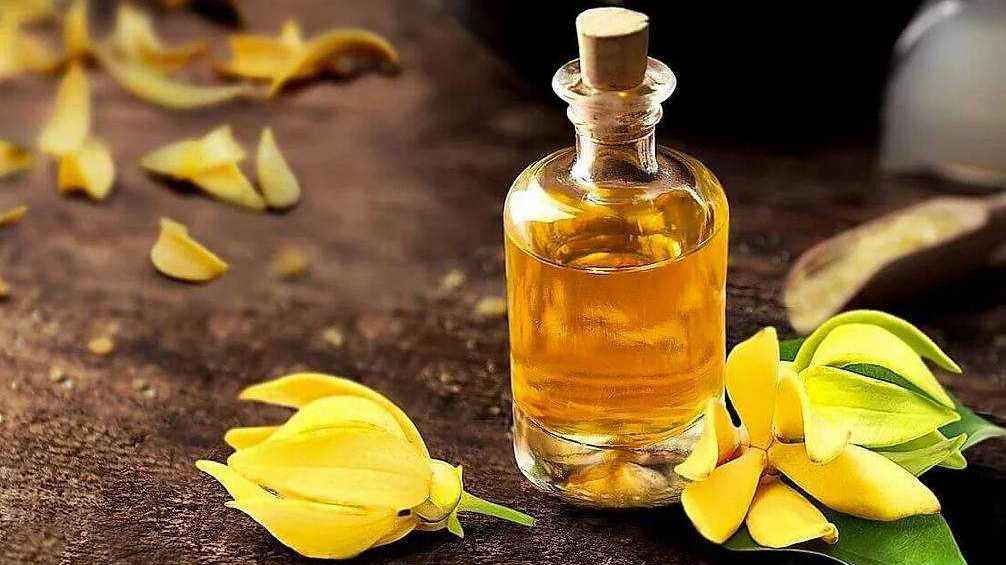 Ylang-Ylang: Secrets of the exotic oil and its health benefits