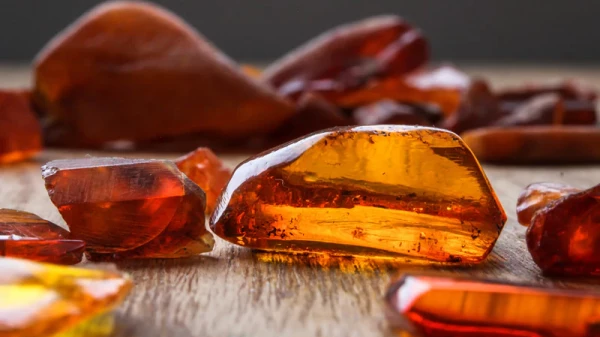 Everything you need to know about Amber oil: useful properties and application