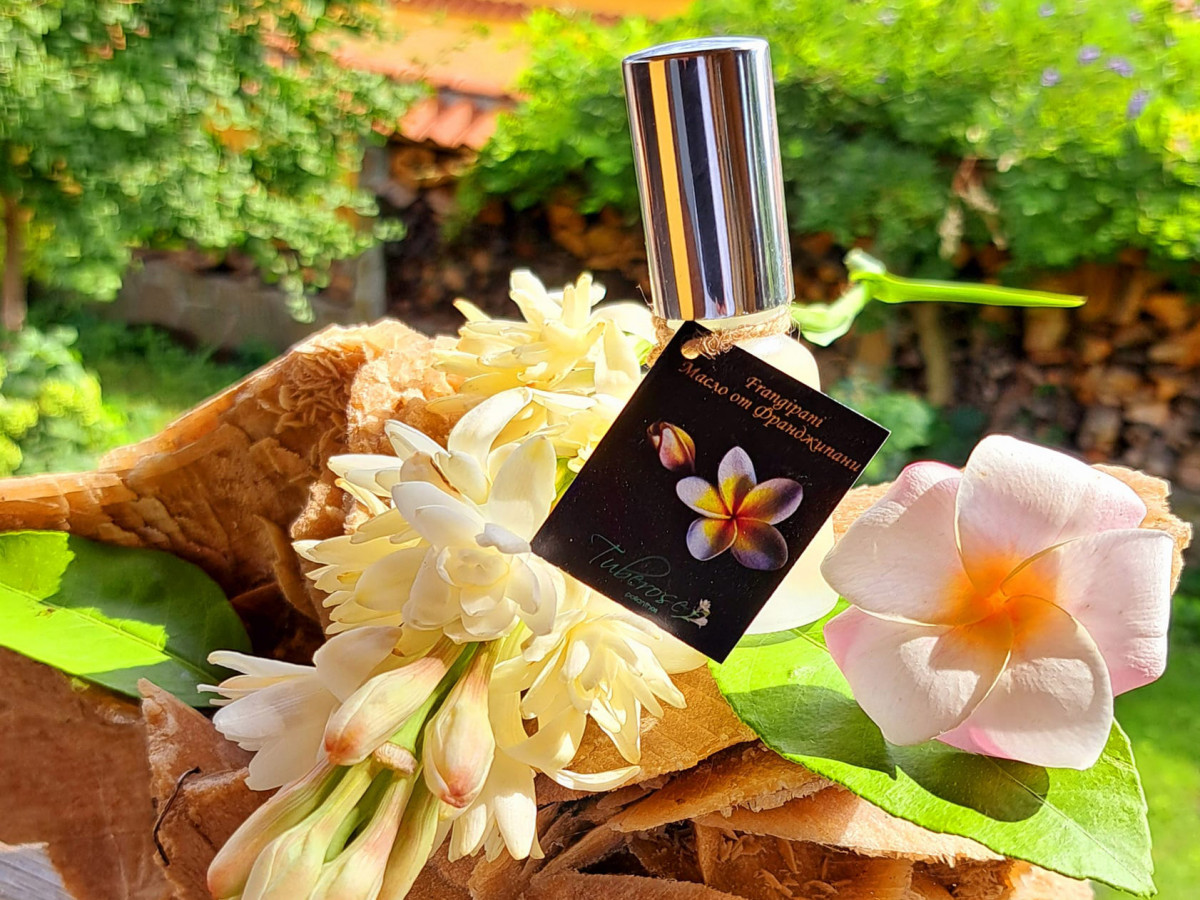 Frangipani oil