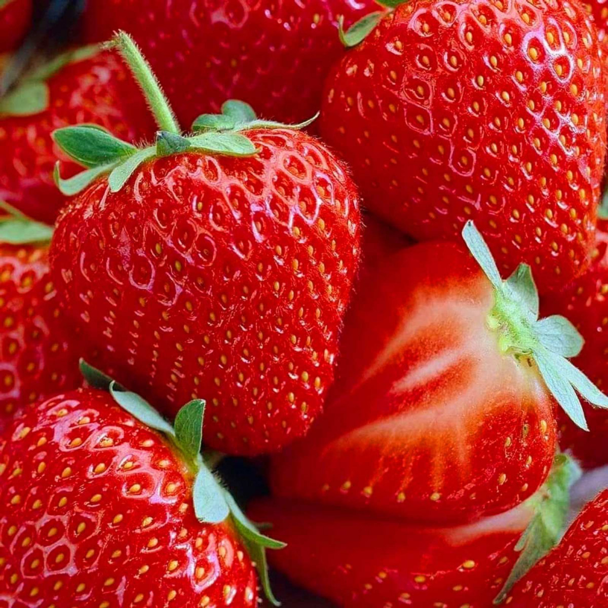 Florida Butti strawberries