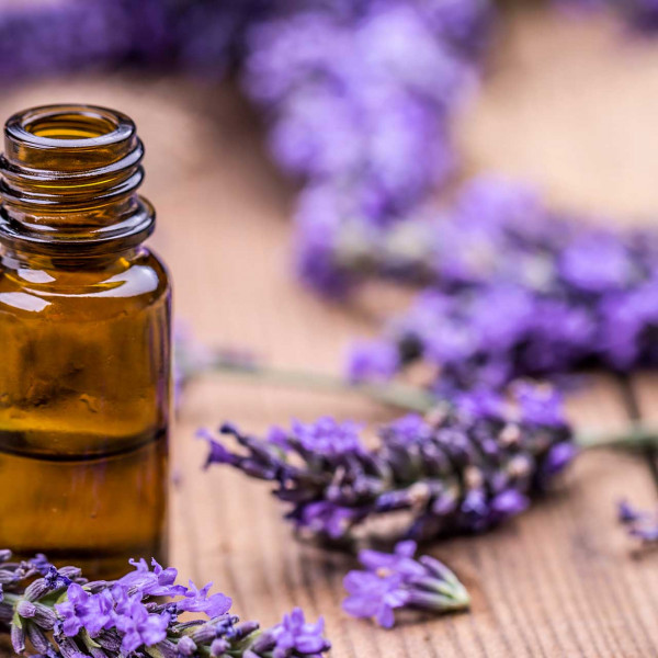 Lavender oil