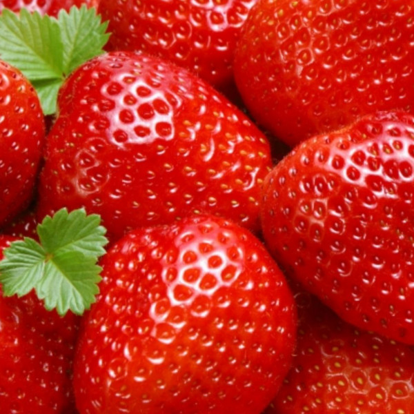 Florida Butti strawberries