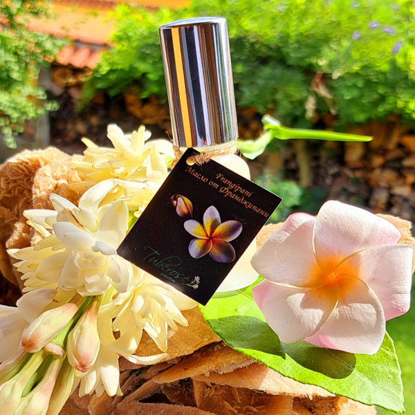 Frangipani oil