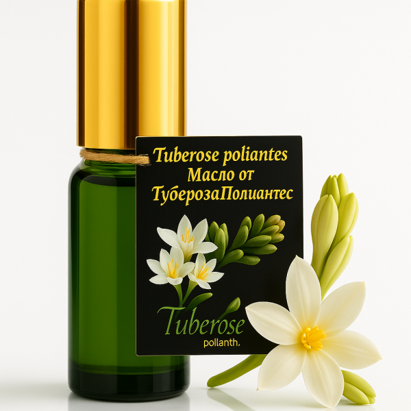 Tuberosa Polianthes oil